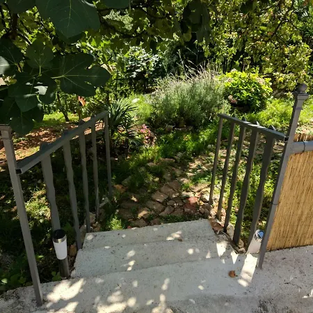 Rumac * אופטיה