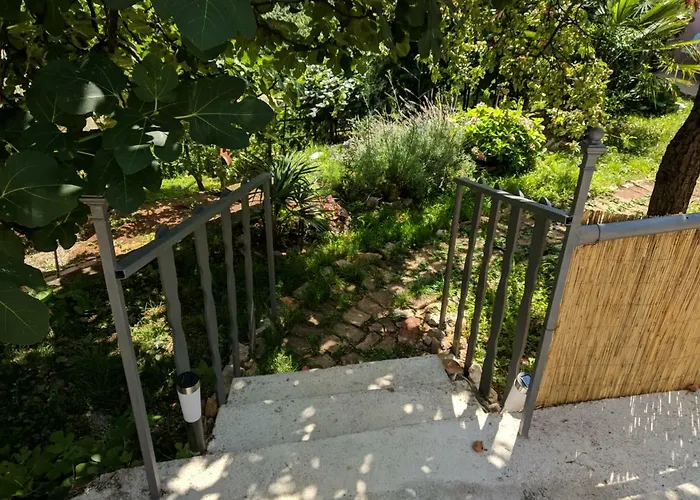 Rumac * 奥帕提亚